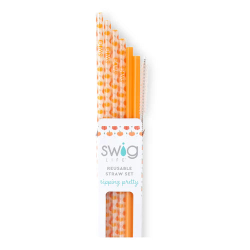 Pumpkins + Orange Reusable straw set