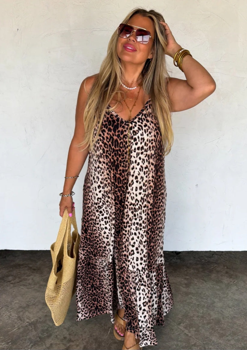 Cheetah Nova