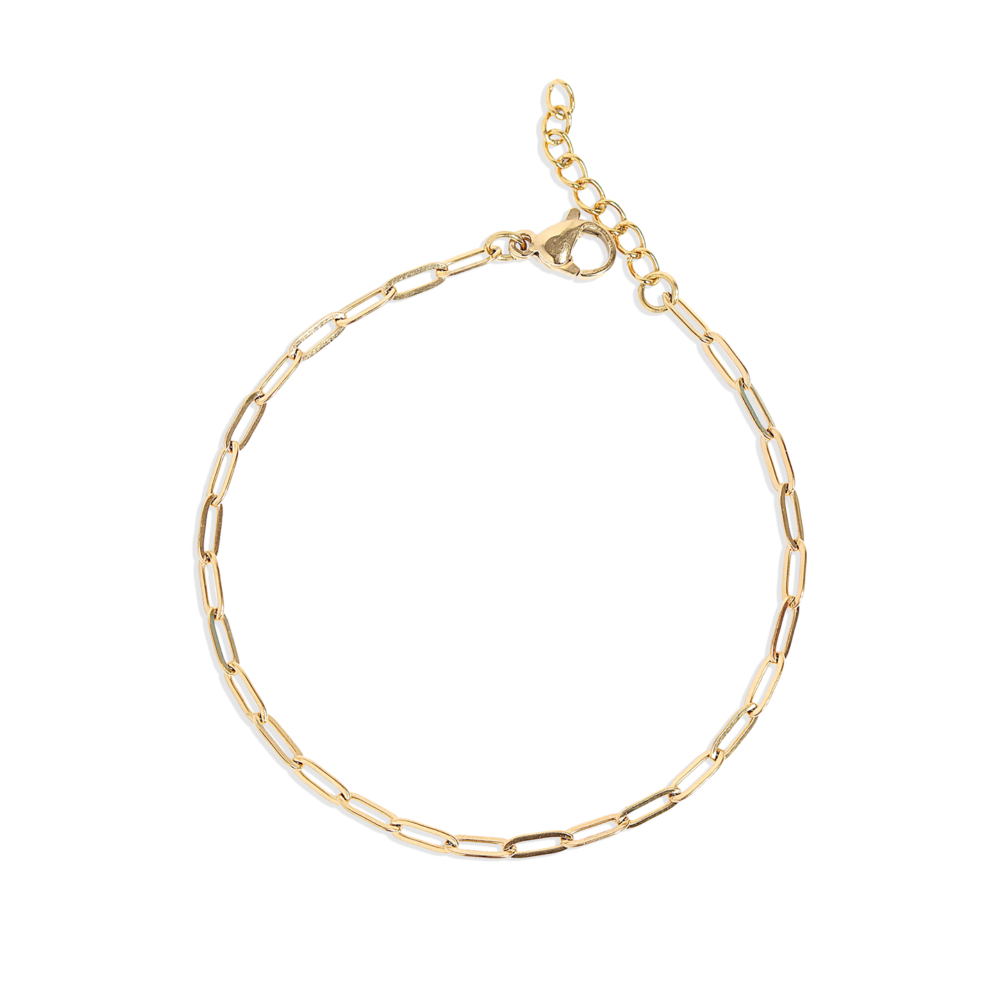 Gold Stainless Steel Paperclip Chain Bracelet + Extension: Gold / 2.5mm